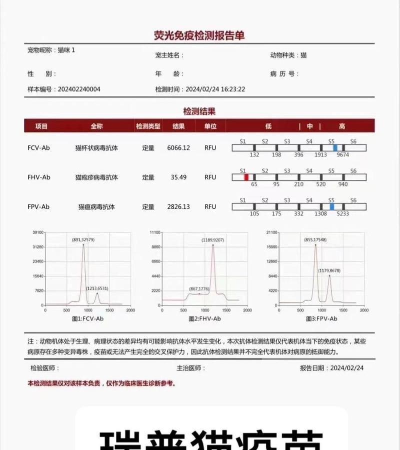 以猫三联打多久？（探讨猫咪在玩耍时持续三连击的时间）