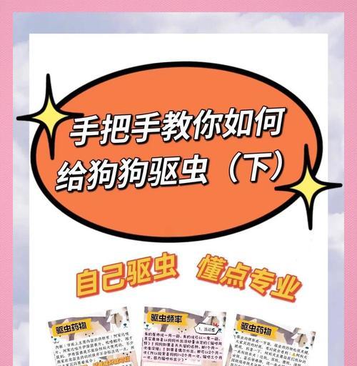 狗狗驱虫的代谢周期及关键因素（了解狗狗体内驱虫代谢的重要性及影响因素）