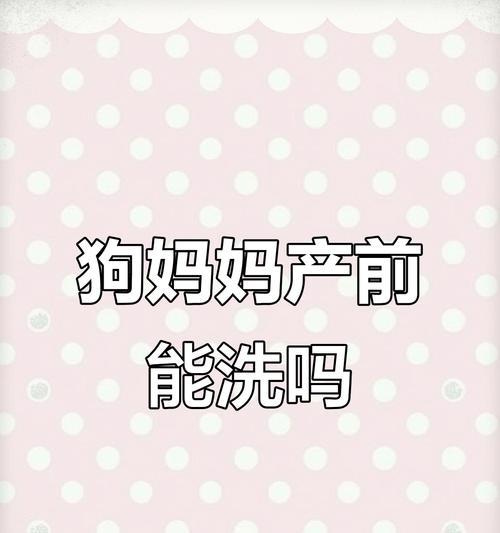 母狗产后多久可以洗澡？（了解合适的洗澡时间，保护母狗与幼犬的健康）