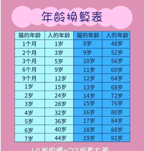 如何判断猫咪年龄？探索牙齿变化揭示年龄之谜（牙齿变化的秘密解读，从牙齿看猫咪年龄）