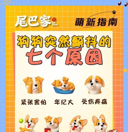 揭秘狗狗突然主动攻击人的原因（解析攻击行为背后的关键因素与应对方法）