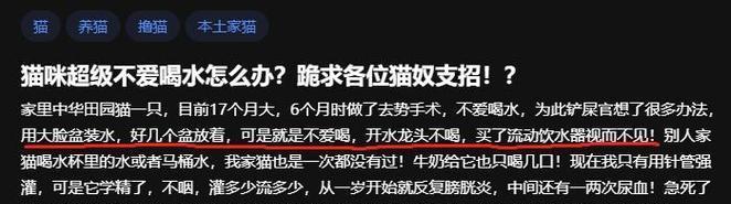 揭秘猫咪不爱喝水的原因（探究猫咪对水的偏好及应对方法）