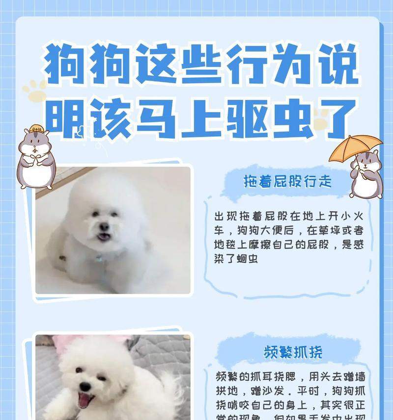 揭秘狗狗打呼噜的原因——睡眠习惯与呼吸问题（了解狗狗打呼噜的原因，保障它们的健康与舒适）