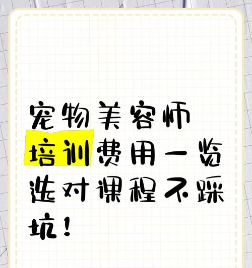 宠物美容师培训（宠物美容师培训内容全解析，助您成为行业专家）