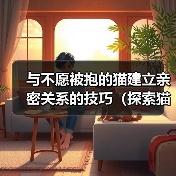 与不愿被抱的猫建立亲密关系的技巧（探索猫咪心理，与独立性强的猫咪建立深厚的情感纽带）（图4）