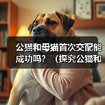 公猫和母猫首次交配能成功吗？（探究公猫和母猫第一次交配的可能性及关键因素）（图2）