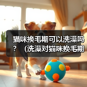 猫咪换毛期可以洗澡吗？（洗澡对猫咪换毛期的影响和注意事项）（图4）