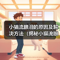 小猫流眼泪的原因及解决方法（揭秘小猫流眼泪的背后问题，帮助你拯救它的眼泪）（图2）