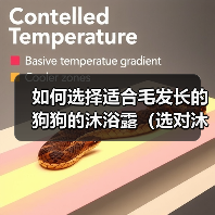 如何选择适合毛发长的狗狗的沐浴露（选对沐浴露，让狗狗的毛发更加健康）