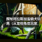 探秘阿拉斯加雪橇犬玩具（从宠物角度出发，了解不同类型雪橇犬玩具，提高宠物生活品质）（图2）