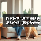 以灰色卷毛狗为主题的品种介绍（探索灰色卷毛狗的独特魅力）（图4）
