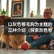以灰色卷毛狗为主题的品种介绍（探索灰色卷毛狗的独特魅力）（图3）