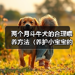 两个月斗牛犬的合理喂养方法（养护小宝宝的关键，从饮食开始）（图4）