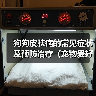 狗狗皮肤病的常见症状及预防治疗（宠物爱好者必看！狗狗皮肤病的预防和治疗方法）