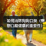 如何消除狗狗口臭（宠物口腔健康的重要性）（图4）