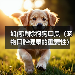 如何消除狗狗口臭（宠物口腔健康的重要性）（图3）