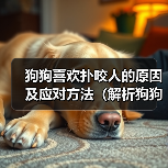 狗狗喜欢扑咬人的原因及应对方法（解析狗狗扑咬行为背后的动机与如何正确引导）（图4）
