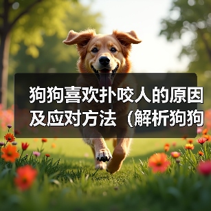 狗狗喜欢扑咬人的原因及应对方法（解析狗狗扑咬行为背后的动机与如何正确引导）（图2）
