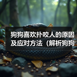 狗狗喜欢扑咬人的原因及应对方法（解析狗狗扑咬行为背后的动机与如何正确引导）（图3）