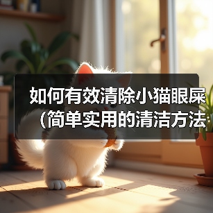 如何有效清除小猫眼屎（简单实用的清洁方法及注意事项）（图4）