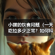 小猫的饮食问题（一天吃拉多少正常？如何科学喂养？）（图3）