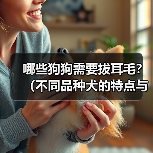 哪些狗狗需要拔耳毛？（不同品种犬的特点与耳毛清理方法）（图2）