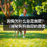 狗狗为什么总是臭屁？（揭秘狗狗臭屁的原因和解决方法）