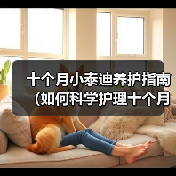 十个月小泰迪养护指南（如何科学护理十个月大的泰迪狗？）（图4）