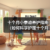 十个月小泰迪养护指南（如何科学护理十个月大的泰迪狗？）