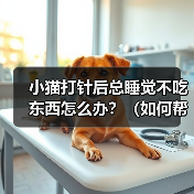 小猫打针后总睡觉不吃东西怎么办？（如何帮助小猫恢复食欲？）（图2）
