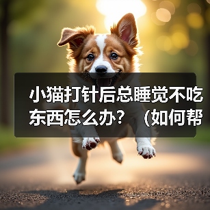 小猫打针后总睡觉不吃东西怎么办？（如何帮助小猫恢复食欲？）（图3）