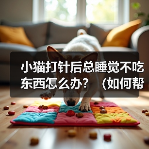 小猫打针后总睡觉不吃东西怎么办？（如何帮助小猫恢复食欲？）（图4）