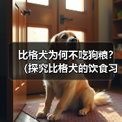 比格犬为何不吃狗粮？（探究比格犬的饮食习惯及注意事项）（图3）