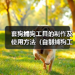 套狗捕狗工具的制作及使用方法（自制捕狗工具，有效解决流浪犬问题）（图4）
