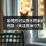 如何应对公猫不回家的问题（关注猫咪行为，建立安全环境）