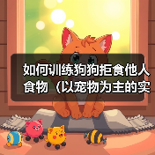 如何训练狗狗拒食他人食物（以宠物为主的实用技巧）（图3）