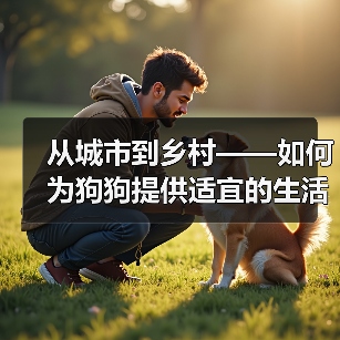 从城市到乡村——如何为狗狗提供适宜的生活环境（狗狗饲养需要考虑的因素及方法）（图4）