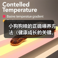 小狗狗粮的正确喂养方法（健康成长的关键，了解小狗狗粮的正确吃法）（图2）