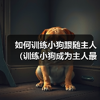 如何训练小狗跟随主人（训练小狗成为主人最忠诚的伙伴）（图4）