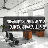 如何训练小狗跟随主人（训练小狗成为主人最忠诚的伙伴）
