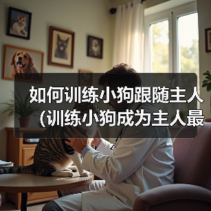 如何训练小狗跟随主人（训练小狗成为主人最忠诚的伙伴）（图2）