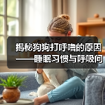 揭秘狗狗打呼噜的原因——睡眠习惯与呼吸问题（了解狗狗打呼噜的原因，保障它们的健康与舒适）（图2）