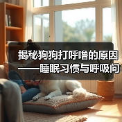 揭秘狗狗打呼噜的原因——睡眠习惯与呼吸问题（了解狗狗打呼噜的原因，保障它们的健康与舒适）
