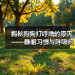 揭秘狗狗打呼噜的原因——睡眠习惯与呼吸问题（了解狗狗打呼噜的原因，保障它们的健康与舒适）（图4）