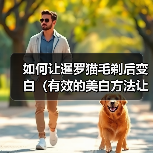 如何让暹罗猫毛剃后变白（有效的美白方法让暹罗猫的毛色焕发新生）（图3）