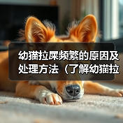 幼猫拉屎频繁的原因及处理方法（了解幼猫拉屎频繁的原因及如何应对）（图2）