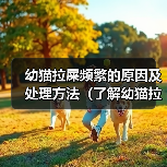 幼猫拉屎频繁的原因及处理方法（了解幼猫拉屎频繁的原因及如何应对）