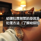 幼猫拉屎频繁的原因及处理方法（了解幼猫拉屎频繁的原因及如何应对）（图4）