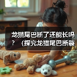 龙猫尾巴断了还能长吗？（探究龙猫尾巴断裂后的再生能力）（图4）
