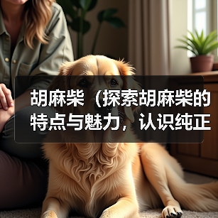 胡麻柴（探索胡麻柴的特点与魅力，认识纯正血统的柴犬之美）（图2）